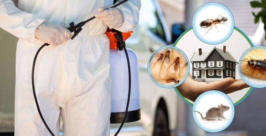 Sultanhisar Böcek İlaçlama