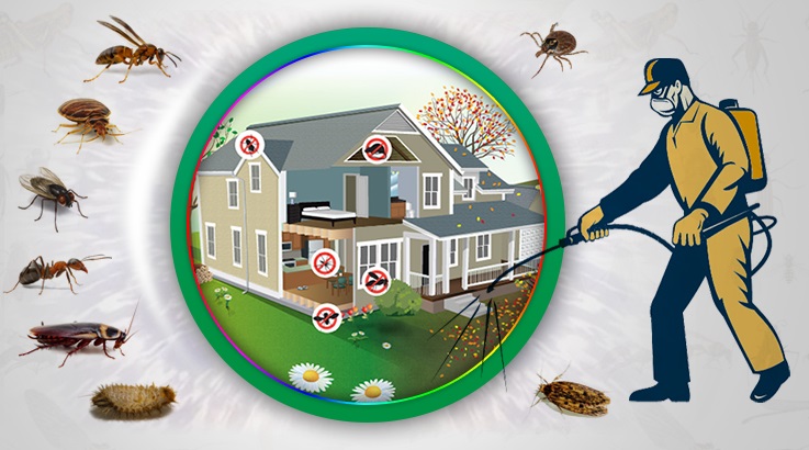 Sultanhisar Böcek İlaçlama