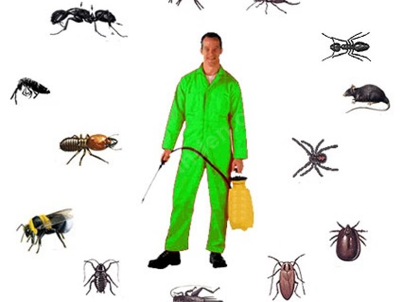 Sultanhisar Böcek İlaçlama